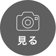 見る